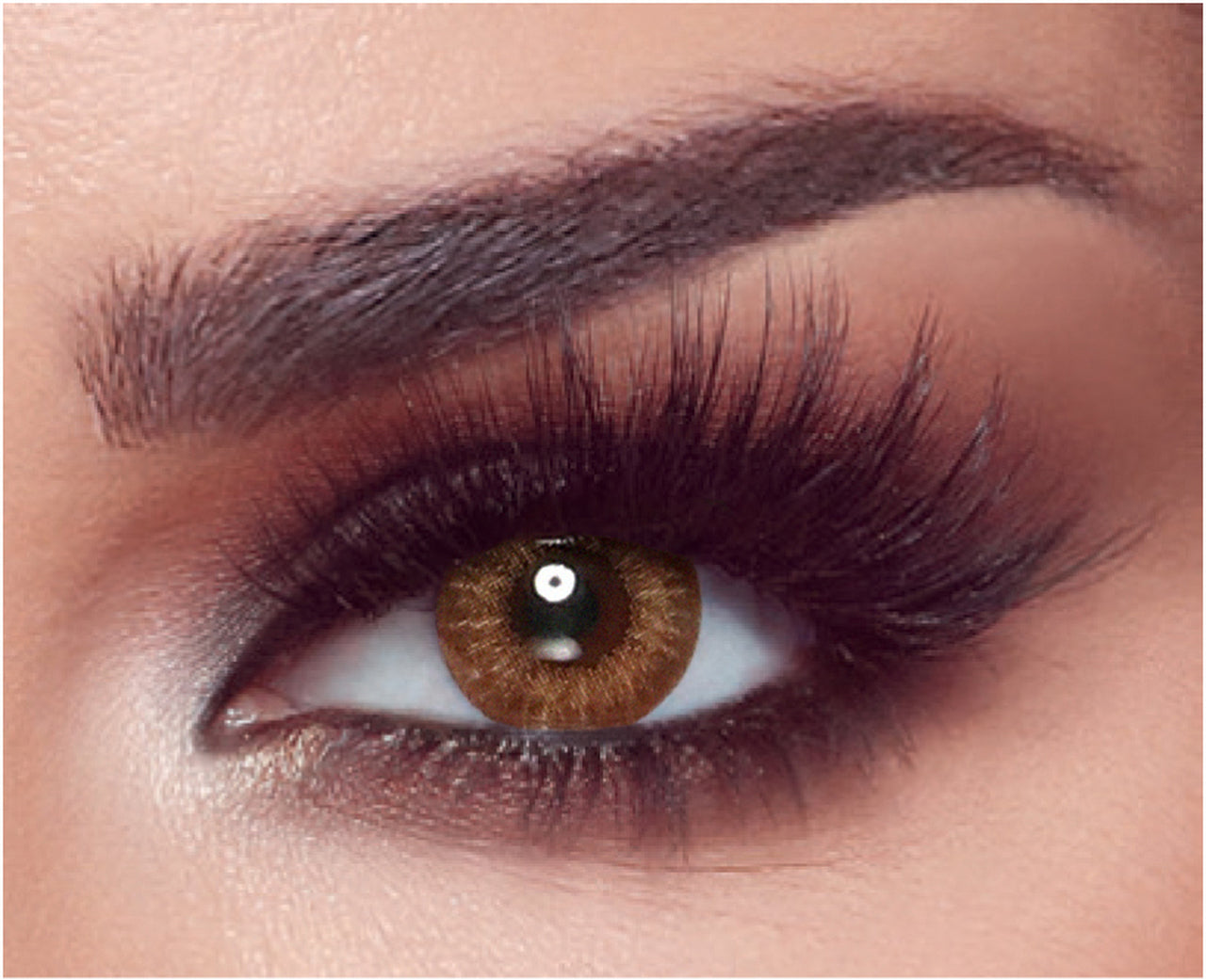 Bella The Secret - 1 Day - Almond Brown Colored Lenses  1 Day, Brown, Usage_1 Day Bella Lenzy