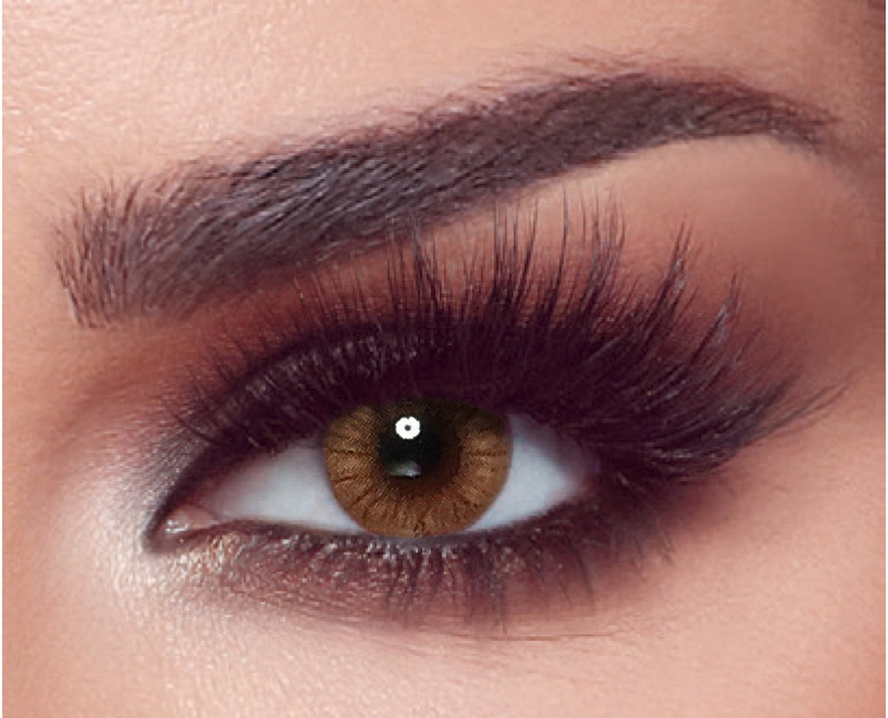 Bella The Secret - 1 Day - Hazel Honey Colored Lenses  1 Day, Hazel, Honey, Usage_1 Day Bella Lenzy