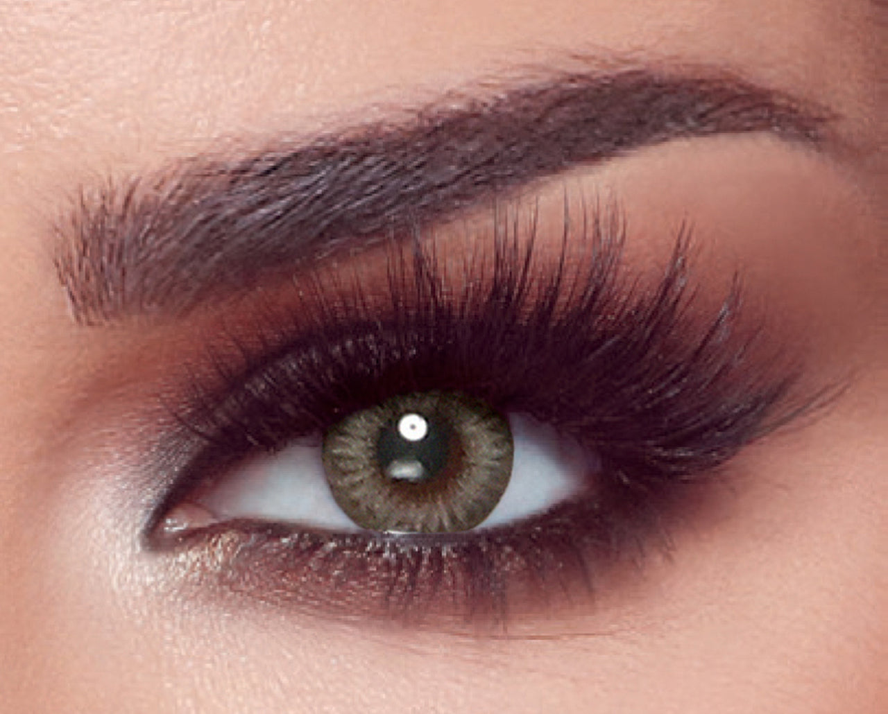 Bella The Secret - 1 Day - Platinum Gray Colored Lenses  1 Day, Color_Grey, Usage_1 Day Bella Lenzy