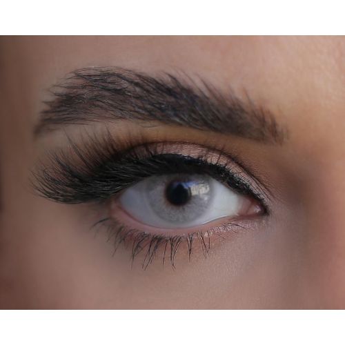 Lydia - Gris perle Colored Lenses  Gray Lydia Lenzy