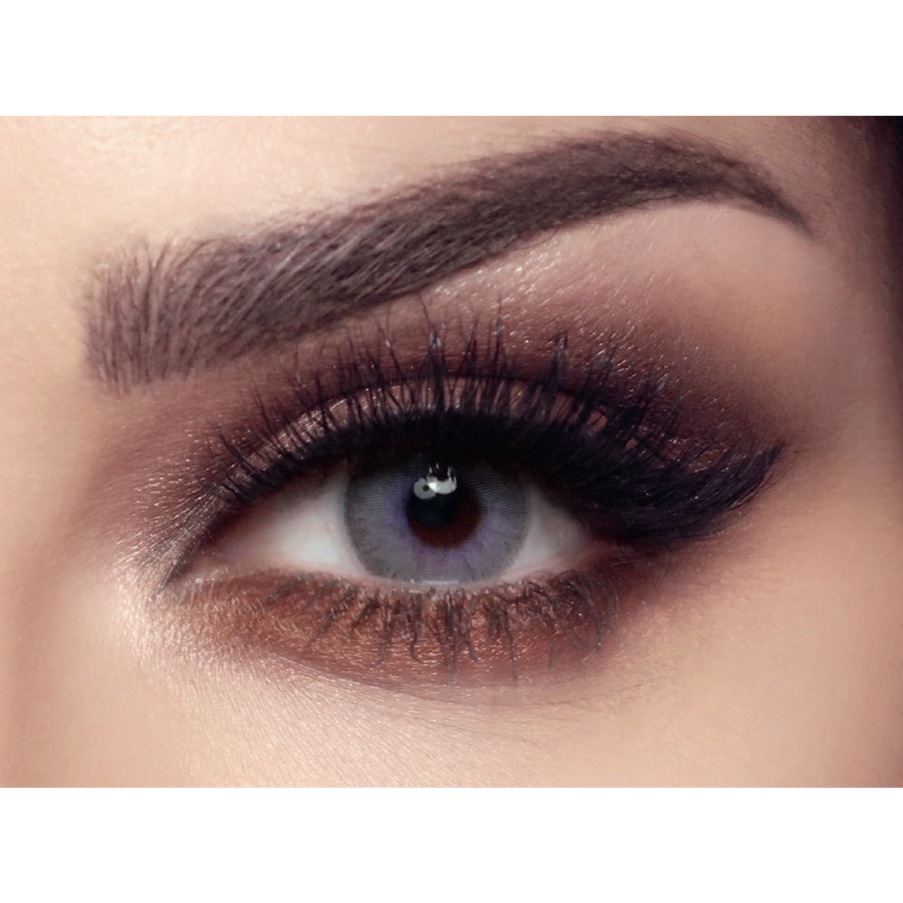 Bella - Elite - Lavender Grey Colored Lenses  Color_Grey, Grey Bella Lenzy