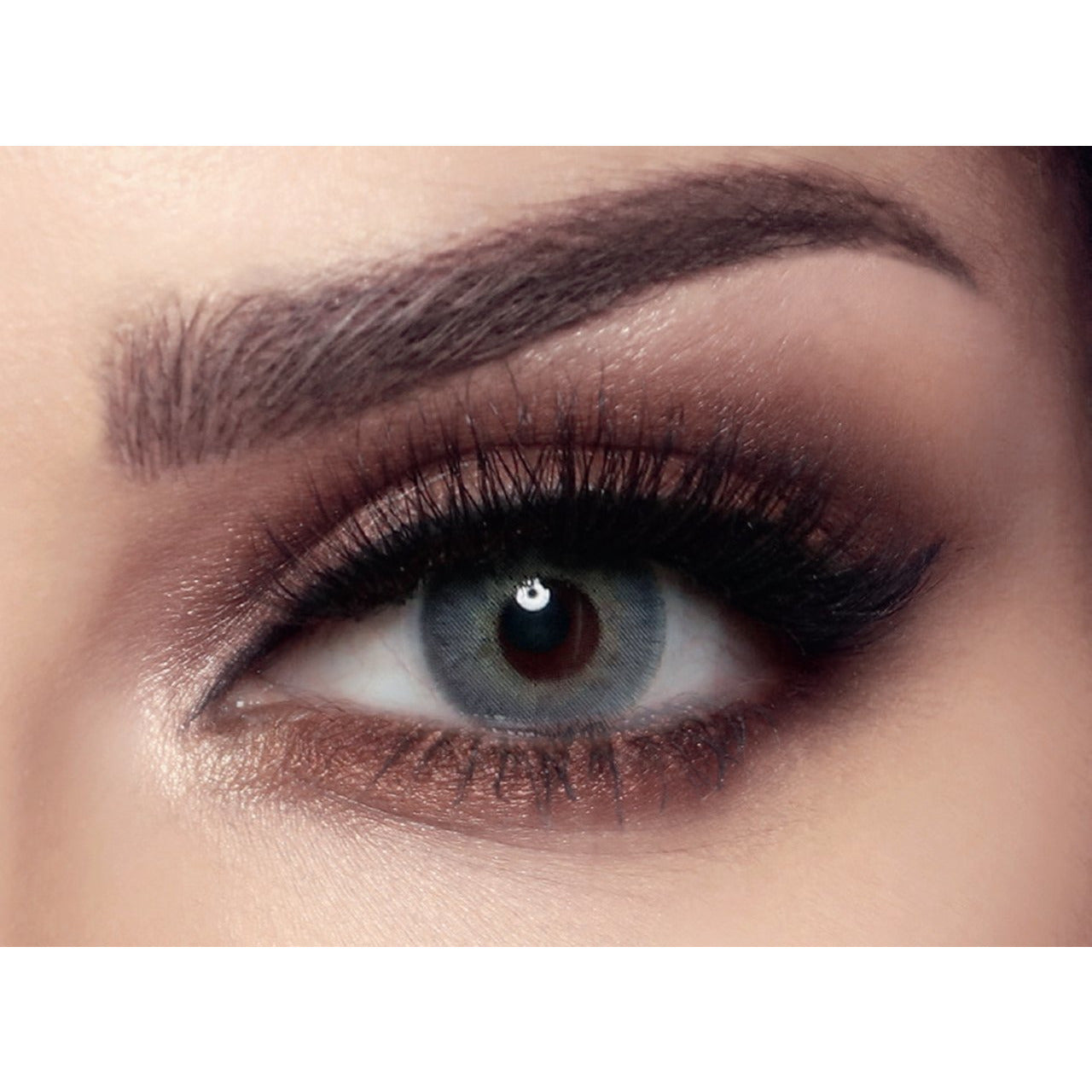 Bella - Elite - Midnight Blue Colored Lenses  Blue, Color_Blue Bella Lenzy