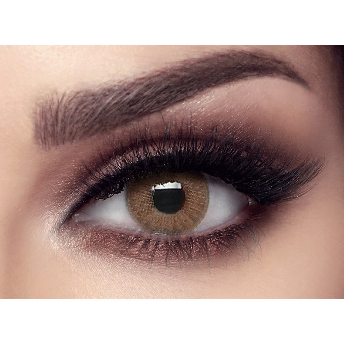 Bella - Elite - Wild Honey Colored Lenses  Hazel, Honey Bella Lenzy