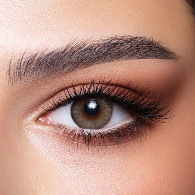 Bella-New-Agate Brown