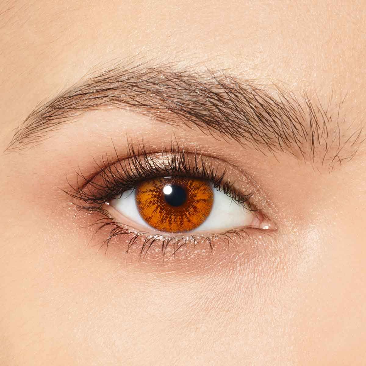 Desio - Coffee Collection - Espresso Colored Lenses  Hazel Desio Lenzy