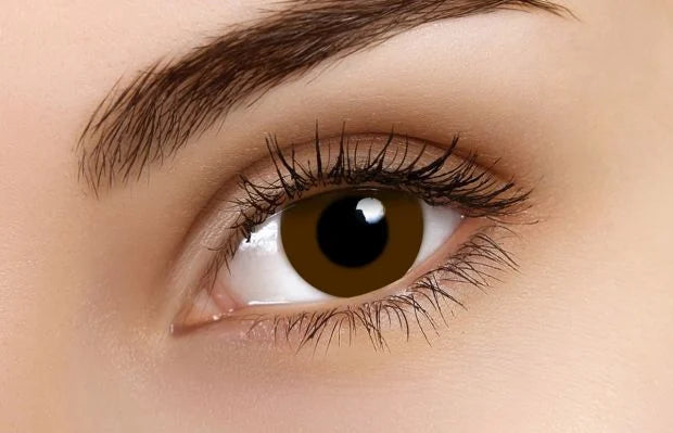 FRESHKON "BLACK PUPIL"